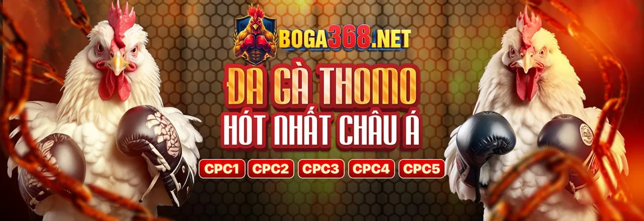 Tải ứng dụng tải fb8 trên cả Android và iOS