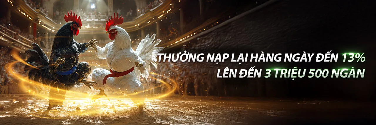 Các chương trình khuyến mãi độc quyền tại FB8